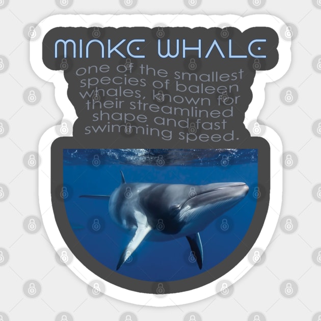 Alaska Whale Watching Sticker by TeeText